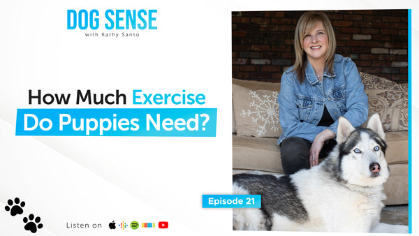 How Much Exercise Do Puppies Really Need?