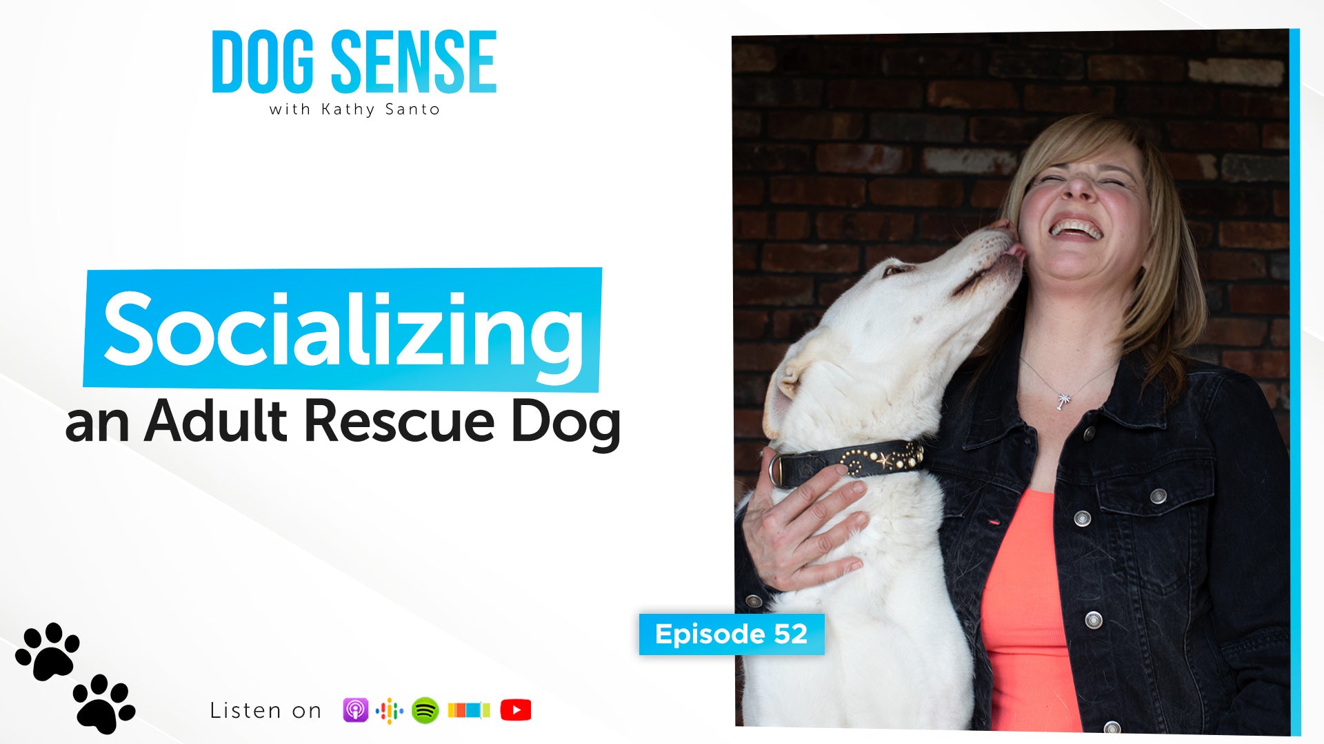 How to Socialize an Adult Rescue Dog Kathy Santo Dog Training