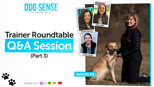 Trainer Roundtable Q&A Session (Part 3)