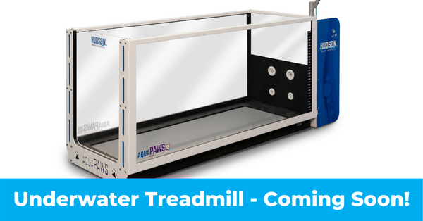 Underwater Treadmill – Coming Soon!