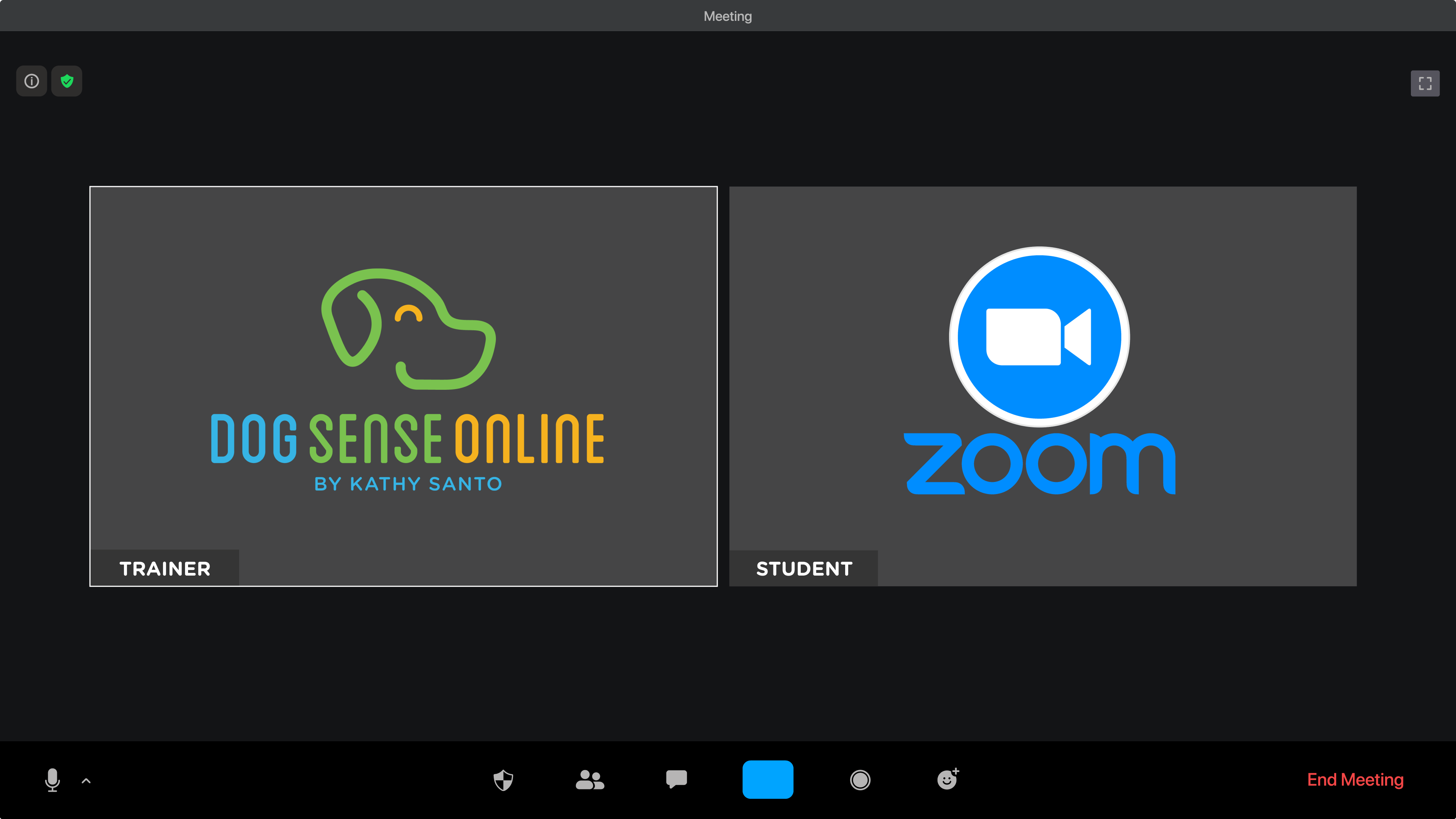 Virtual Private Training Session Kathy Santo Dog Training