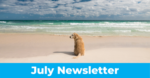 July 2020 Newsletter