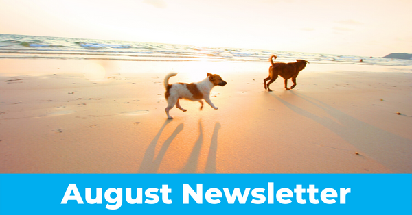 August 2020 Newsletter