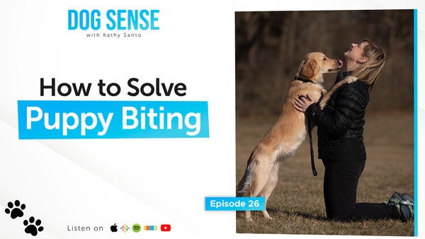 How to Solve Puppy Biting