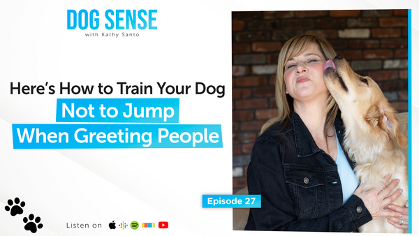 Here’s How to Train Your Dog Not to Jump When Greeting People