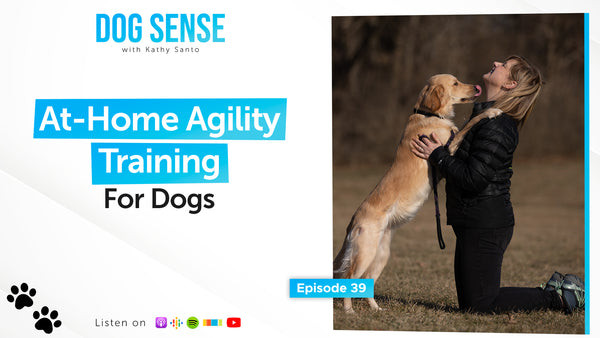 At-Home Agility Training for Dogs