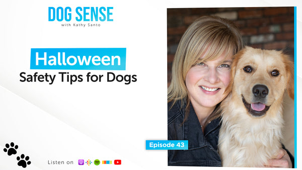 Halloween Safety Tips for Dogs