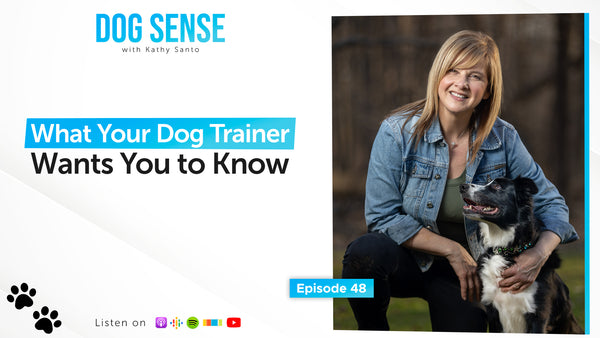 What Your Dog Trainer Needs You to Know