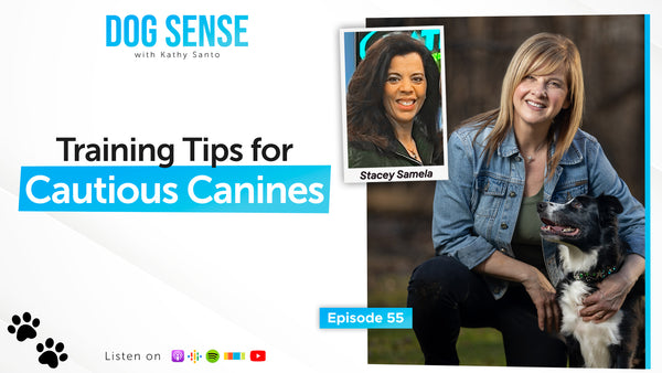Training Tips for Cautious Canines
