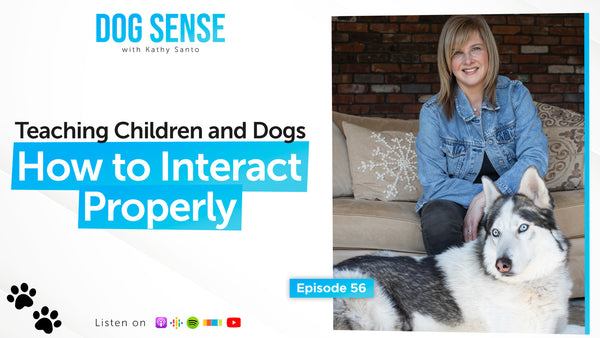 Teaching Children and Dogs How to Interact Properly