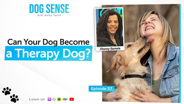 Can Your Dog Become a Therapy Dog?