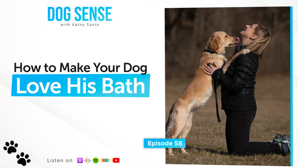 How to Make Your Dog Love His Bath
