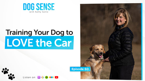 Training Your Dog to LOVE the Car