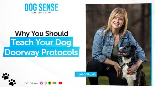 Why You Should Teach Your Dog Doorway Protocols
