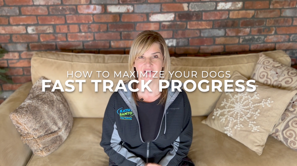 How to Maximize Your Dogs Fast Track Progress