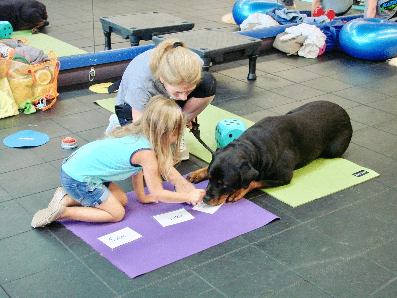 Therapy Dog Program in New Jersey | Kathy Santo Dog Training